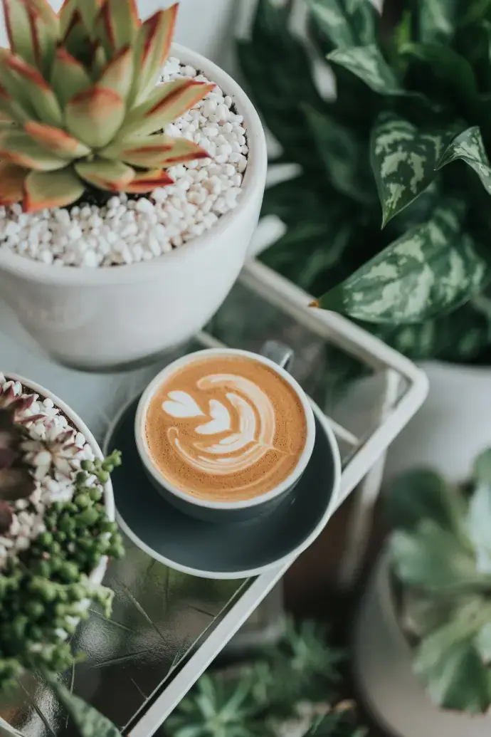 Coffee